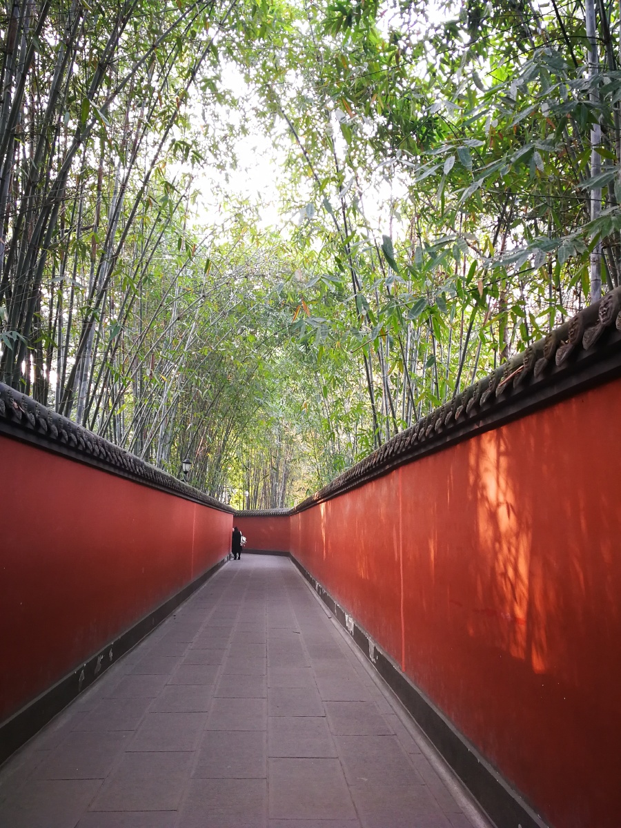 竹林掩映下的红墙武侯祠成都