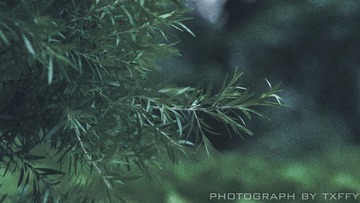 1C2EC00E-63EA-4517-8A2B-30F134014923/L0/001
