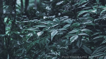 57103CB0-A359-4902-A641-95AAC01B9ADB/L0/001