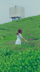 A3B31701-109A-44F8-B998-AA4871F680C4/L0/001