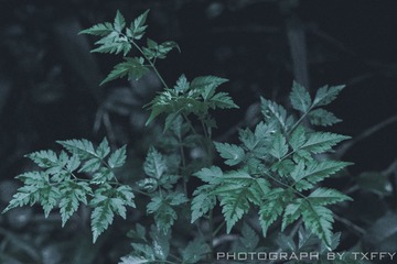 F7B029B3-288B-4083-B4BC-3211AA04C071/L0/001