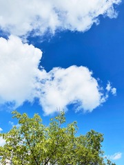 A388D037-4693-40AC-A864-ED8551EF815E/L0/001