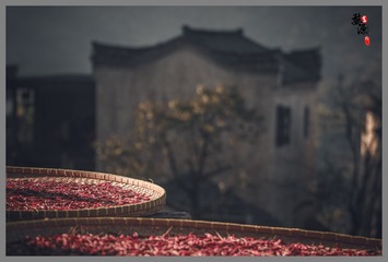 101690