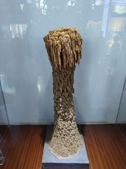 1000069845