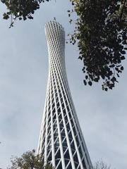 1000084326