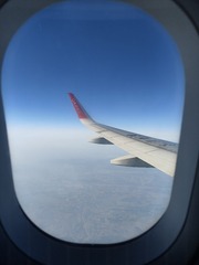 1000089141