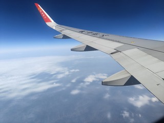 1000089105