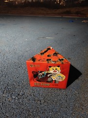1000089176