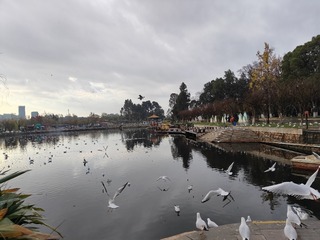1000040411