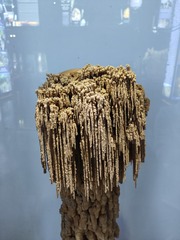 1000069850
