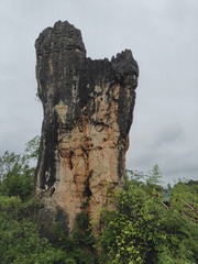 1000069662