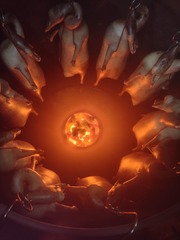 1000093296