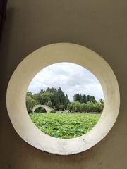 1000058524