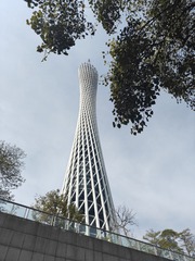 1000084323