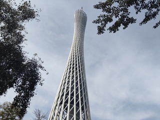 1000084353