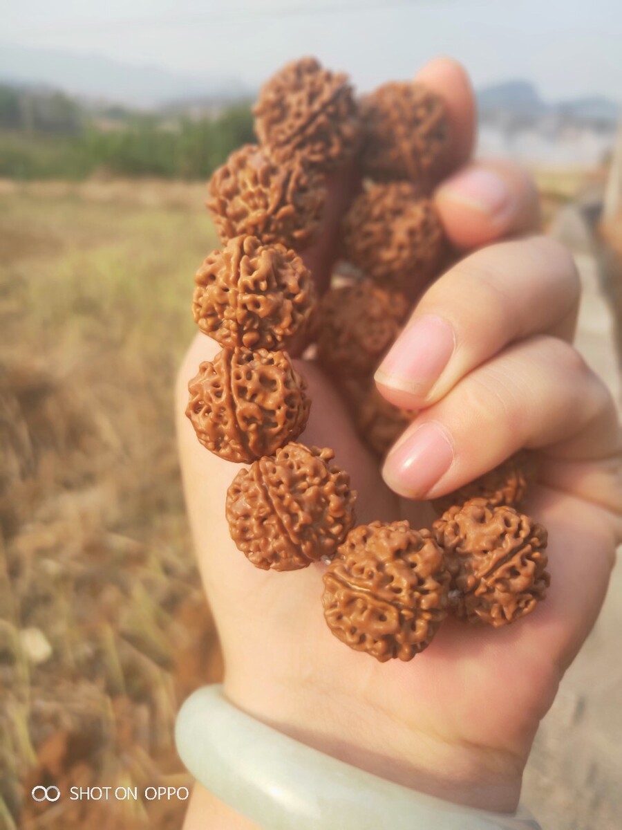 如何挑选铁核,盘点世界各地的核质名胜