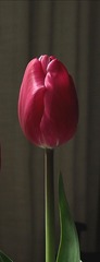 1332109