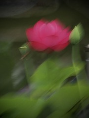 94810E6C-C006-4B5E-AC27-E7F288433D62/L0/001