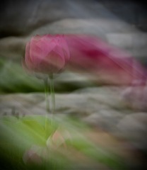 8E5924C9-7465-4B94-9595-260CC5823926/L0/001