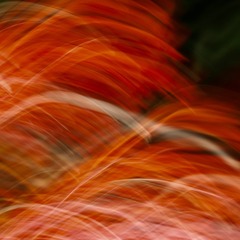 933A29A6-0880-4996-BD3B-D21CFF9D2F5F/L0/001