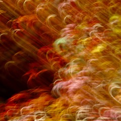 1164D973-C00D-4B1B-89BD-87F4632A6C95/L0/001
