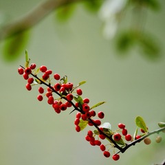 EC8757EF-EB9A-47F0-926F-023B07EB36F3/L0/001
