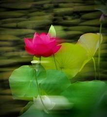 0035E859-9F31-4BB3-B24B-F183CB05F398/L0/001