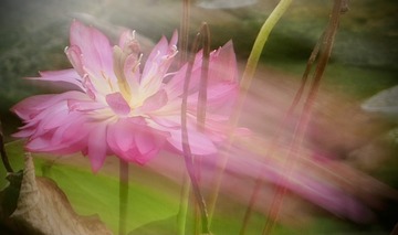 60FD4557-F211-414C-B5A2-581E21085E59/L0/001