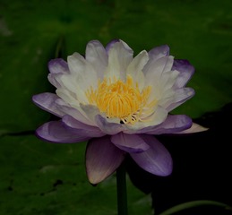 1600626