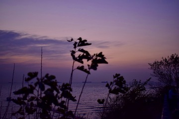 C0542450-4B7F-447E-BFB3-179F8BDD806A/L0/001