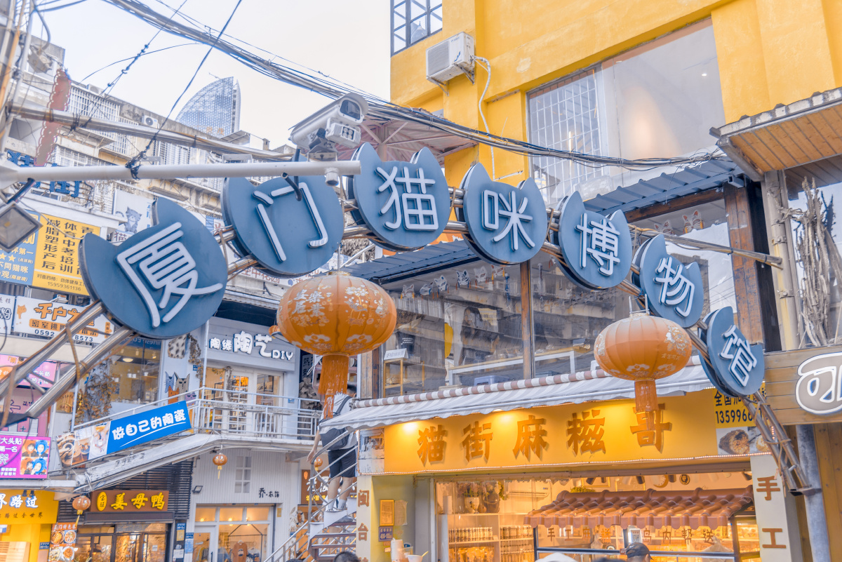 厦门沙坡尾猫街