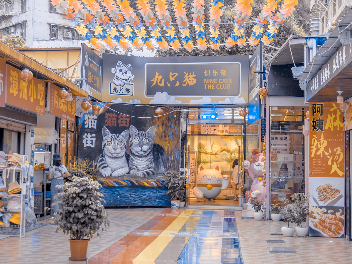 厦门沙坡尾猫街