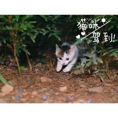 001