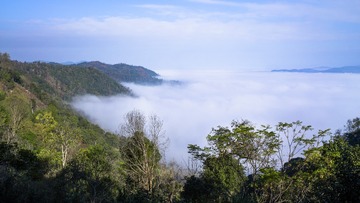 229CF0DD-02DF-42D2-B85B-ECEE3D1D6A5A/L0/001