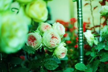 1BF663FF-207D-4010-B126-87E0A159D119/L0/001