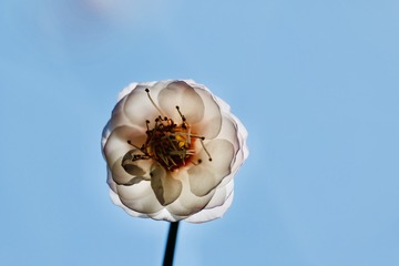 817A4960-A717-43A2-8D70-248B8AD04E0B
