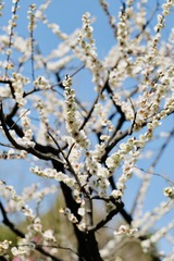 67A5A18E-5BB1-4984-8EA2-0FEB677A99B0