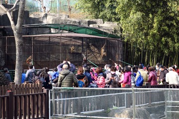 D934E915-6E47-4351-A6AF-1719D1427CB3/L0/001