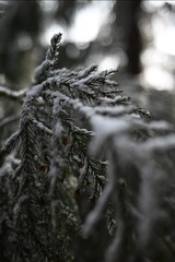B3D60BBD-F86D-4302-AD67-BC250D366626/L0/001