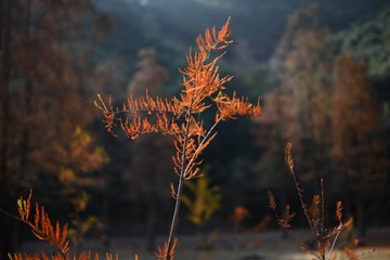2AF129CE-3AB9-4263-B451-AC2ED30DA99F/L0/001