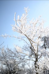 B6F9D4CE-3647-4696-A89B-075E10FF7887/L0/001