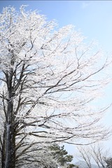 98ED9319-0974-4349-A57F-ABA07C876A24/L0/001