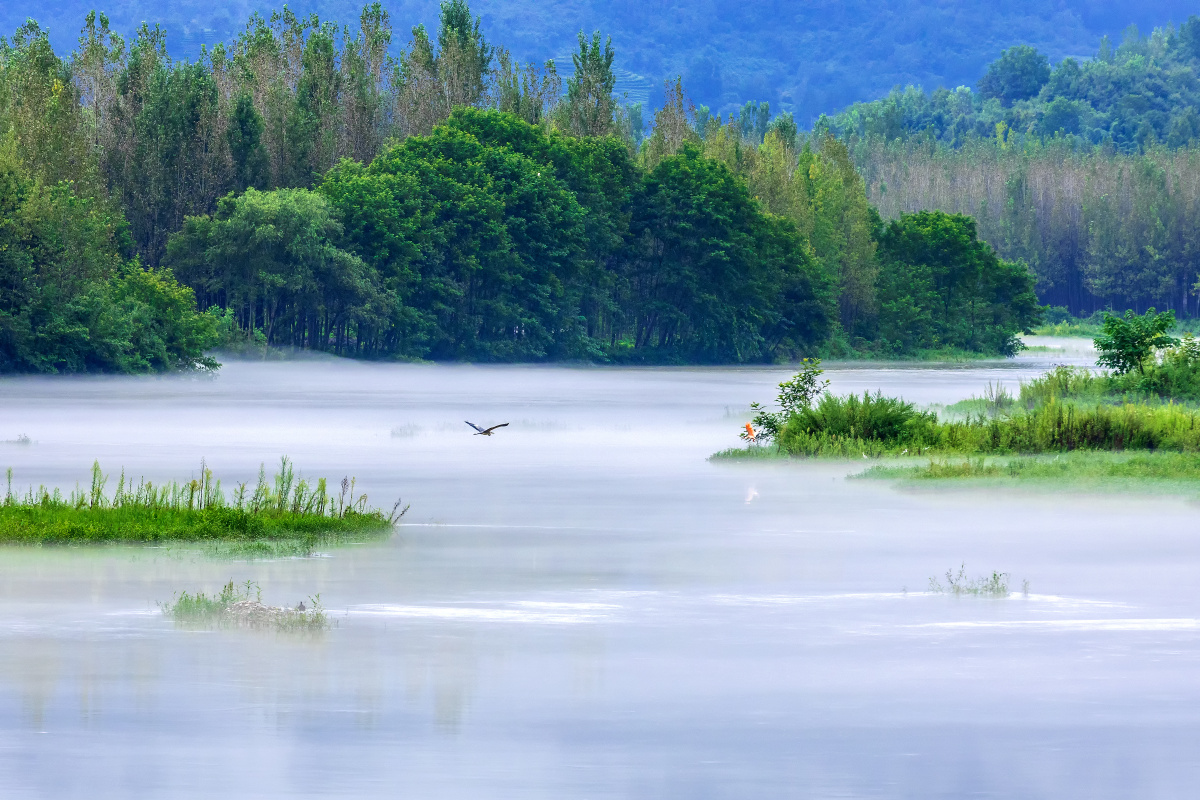 自然和谐的山水花鸟