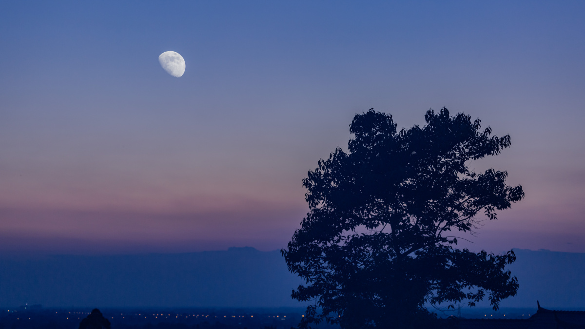 月上柳梢头人约黄昏后