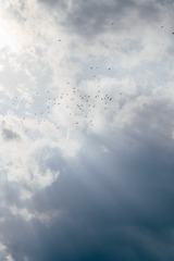 1016198