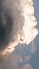 1016181