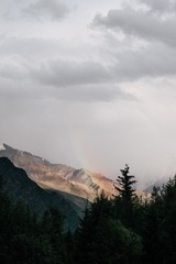 1016207