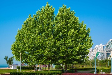 121651