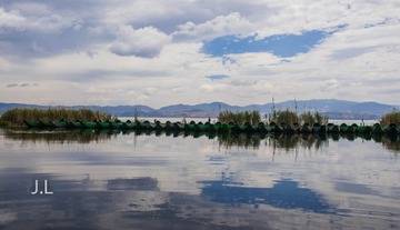 DSC_0515-1