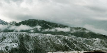 DSC_9444-1